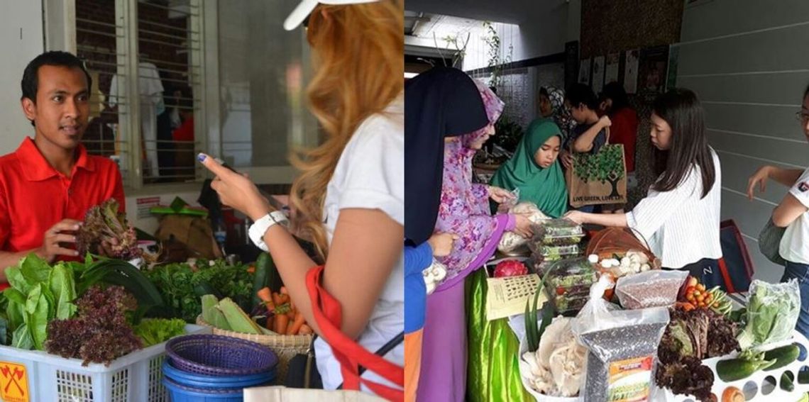 Pasar Hijau tempat hasil kebun KPSKA dijual I Dokumentasi Pribadi